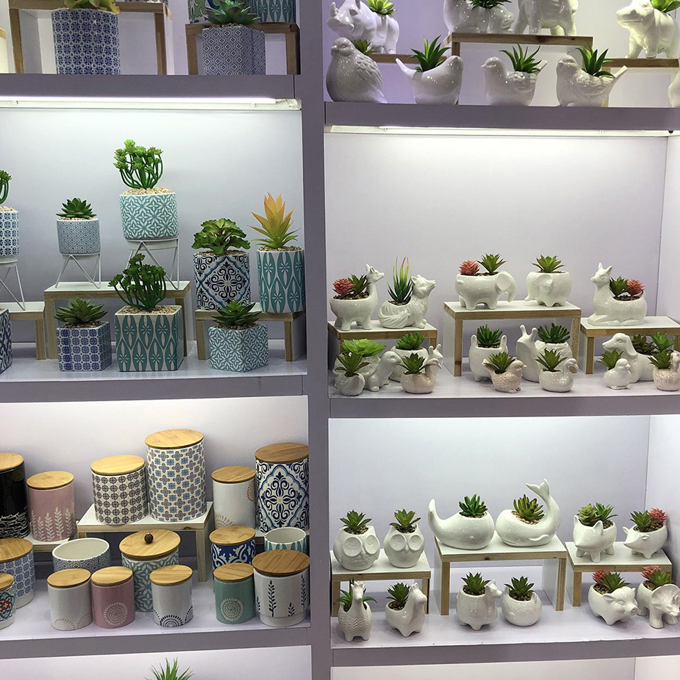 Succulent +Vase Series